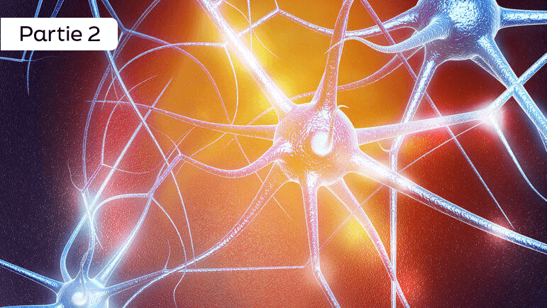 Tous les types d’IA sont susceptibles de répondre à la neuromodulation sacrée. 