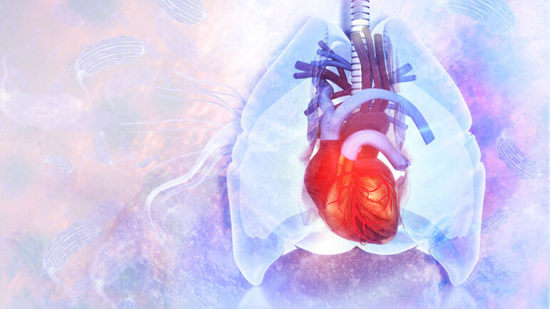 En ligne de mire : notamment les patients à risque de complications cardiaques ou pulmonaires.