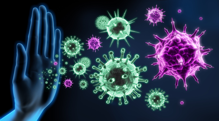 Plusieurs processus immunitaires impliquant notamment les lymphocytes T et B sont en cause.