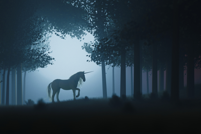 Antidote ou aphrodisiaque, la corne de licorne a longtemps été la panacée des apothicaires.