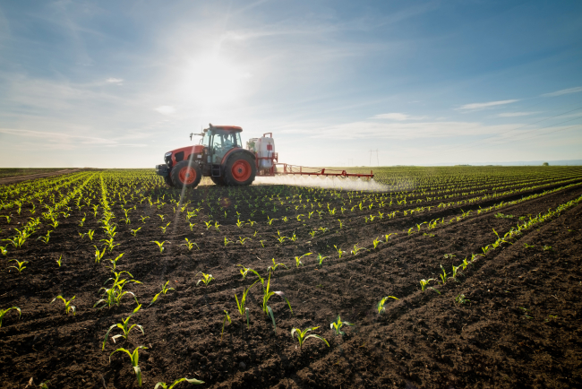 L'étude montre un risque plus élevé lors d'une exposition à des pesticides de type herbicide.
