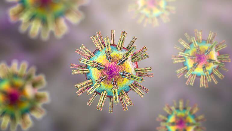 <p>L'espèce humaine est le seul réservoir des <em>herpès simplex virus</em> (HSV1 et HSV2), virus à ADN.</p>