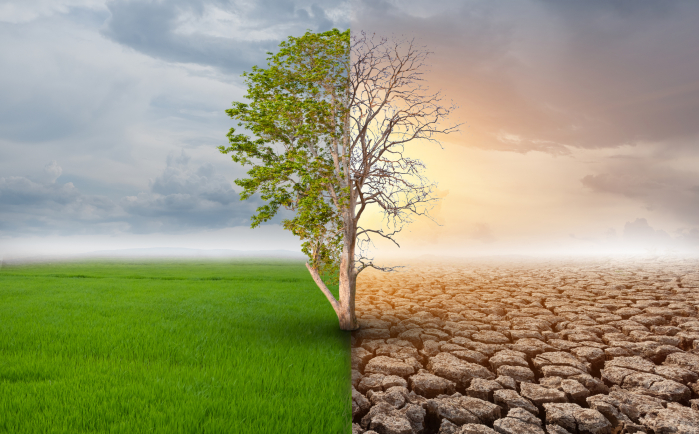 Depuis 1900, les températures à la surface du globe ont augmenté de 1,4 °C.
