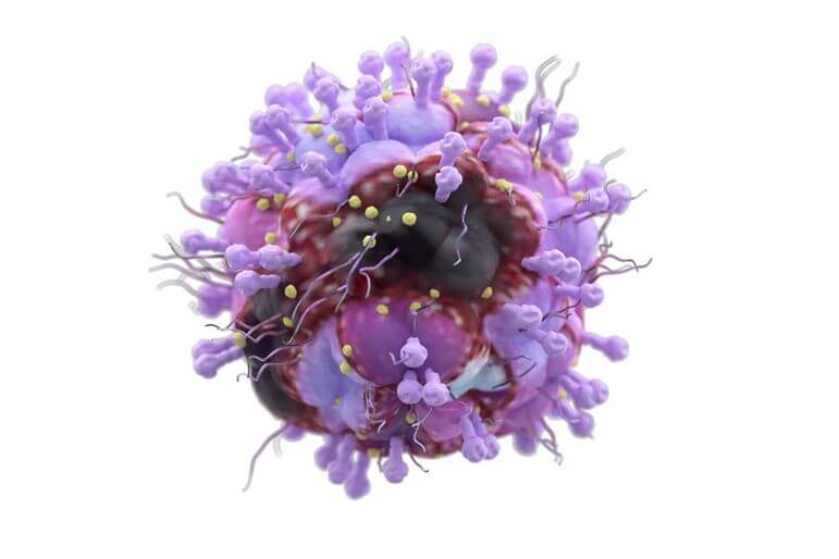 <p>Le virus de la varicelle et du zona est un virus exclusivement humain de la famille <em>Herpes viridae</em>.</p>