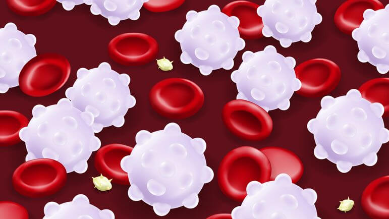<p>Une indication dans plusieurs types d'hémopathies malignes impliquant les lymphocytes B.</p>
