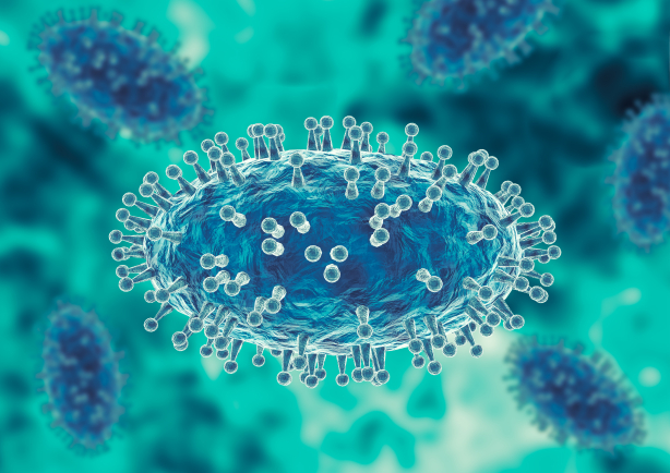 Le técovirimat agit en inhibant l'activité de la protéine VP37 des orthopoxvirus. 