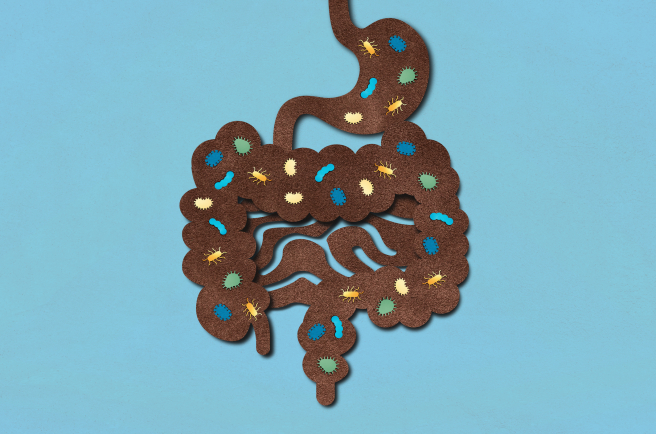 En fonction des cinq donneurs, les taux de réponse clinique varient de 43 à 93 %.
