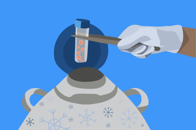 La vitrification ovocytaire, une technique de cryoconservation ultrarapide dans l'azote liquide.