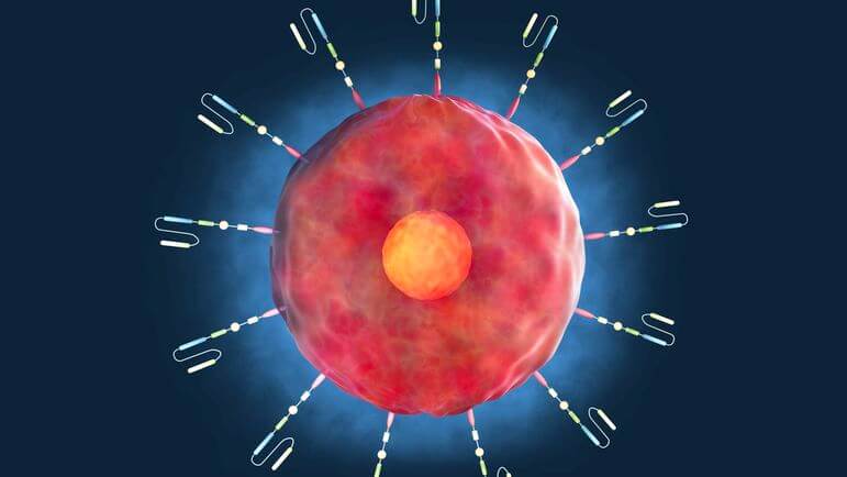 <p>Réarmer les leucocytes du patient pour les transformer en cellules tueuses de tumeurs.</p>