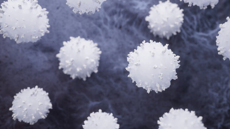 Les lymphocytes T régulateurs (Treg), des « gardiens immunitaires », dont le rôle est fondamental.
