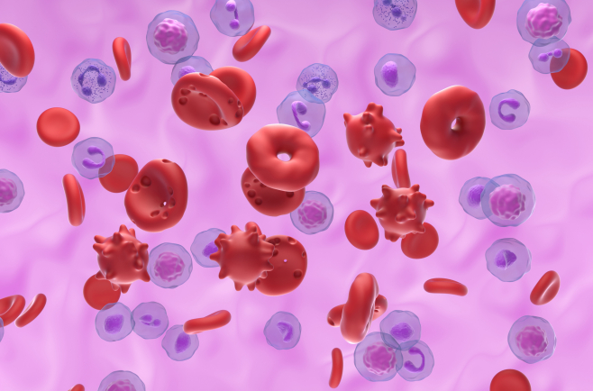 Les anémies hémolytiques de l’adulte sont classées selon le mécanisme de l’hémolyse en cause.
