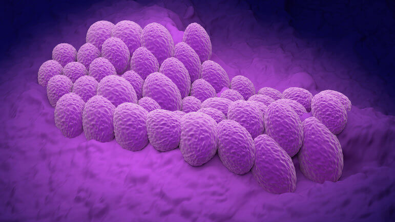 On estime à 8 224 le nombre de nouveaux cas de cancer de l’endomètre en France en 2018.