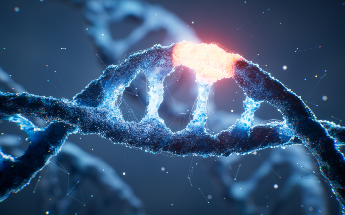 Les mutations du gène codant la superoxide dismutase 1 (SOD1) touchent 1 à 2 % des patients.