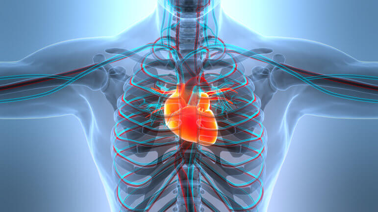 L’ablation par cathéter de la FA peut aussi diminuer le risque d’AVC associé.