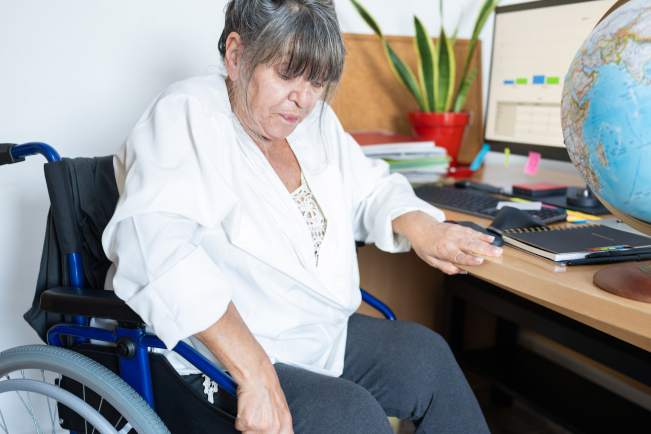 Les 250 démarches les plus communes devraient être accessibles en ligne d'ici la fin de l'année.