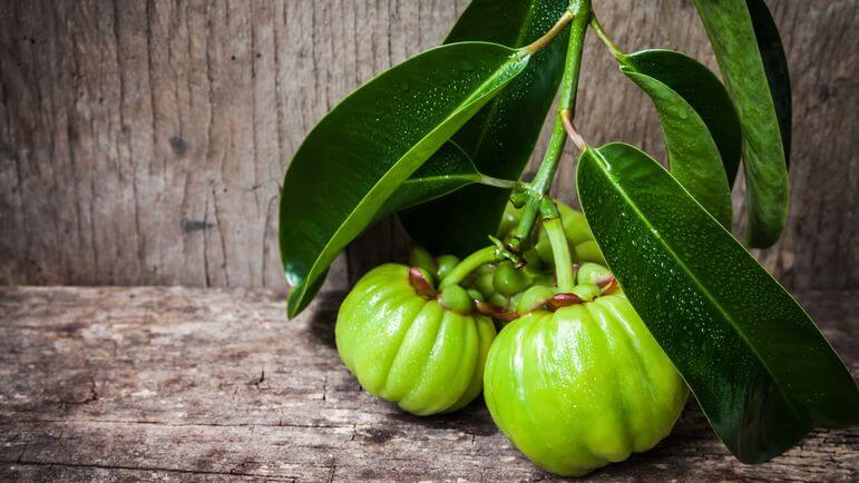 Une plante interdite dans les médicaments, mais autorisées dans les compléments alimentaires.