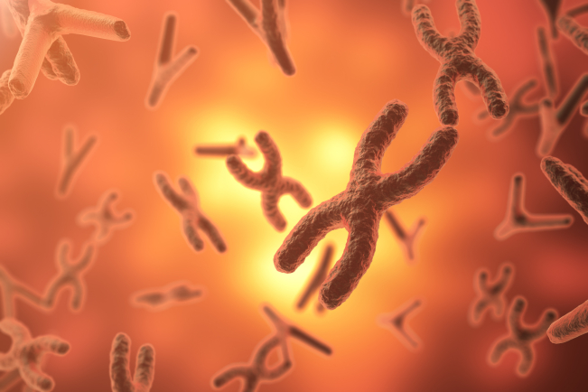 Un complément de gamme pour l'hypophosphatémie liée à l'X et l'hypophosphatémie liée au FGF23.