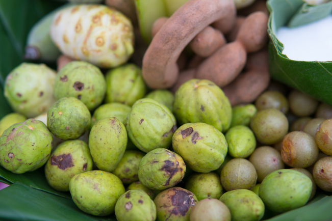 Les myrobolans, aujourd'hui appelés myrobalans, appartiennent à la famille des combrétacées. 
