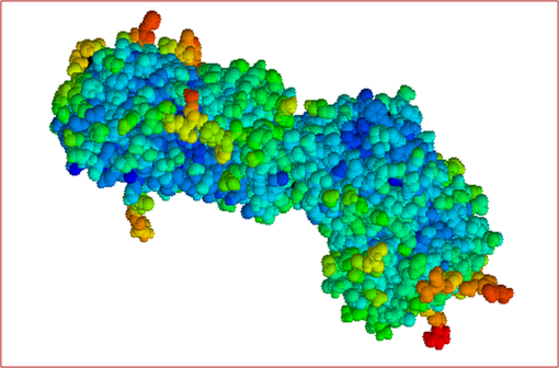 Représentation en 3D d'une molécule d'antithrombine (illustration @Wikimedia).