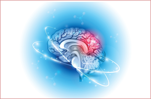 Un méningiome est une tumeur cérébrale développée à partir de cellules des enveloppes du cerveau et de la moelle épinière appelées les méninges (illustration). width=