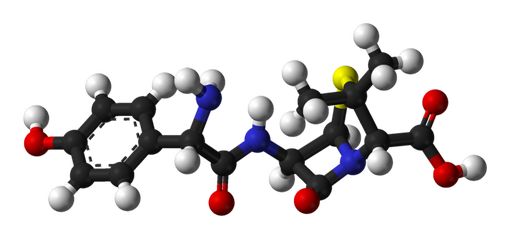 Représentation 3D d'une molécule d'amoxicilline