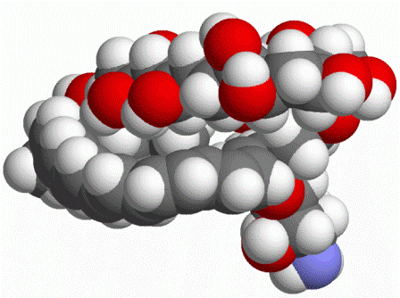 L'amphotéricine B est un antibiotique antifongique de la famille des polyènes macrocycliques (image : © Wikimedia).