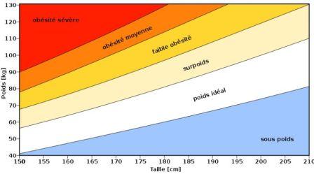 Graphique de l’indice de masse corporelle (© Wikimedia).