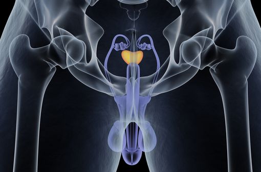 Le cabazitaxel est un agent cytotoxique de la famille des taxanes, utilisé dans le traitement du cancer métastatique de la prostate résistant à la castration (illustration).