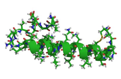 Représentation en 3D de la structure de la calcitonine de saumon (illustration @Wikimedia).