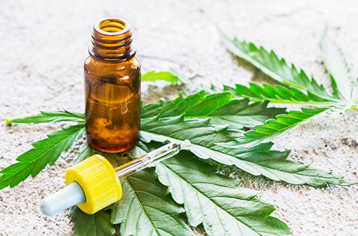 L'ANSM lance une expérimentation sur la mise à disposition de cannabis thérapeutique