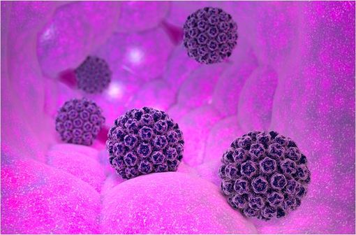 Représentation en 3D de papillomavirus humains (illustration).