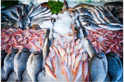 La principale source d’apport en vitamine D dans la population est le poisson qui contribue à 31% des apports chez les enfants et à 38% chez les adultes (source : Anses) [illustration].