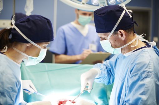 Les transplantations les plus fréquentes sont les greffes du rein. Sont également pratiquées des transplantations du foie, du cœur, des poumons, du bloc cœur/poumons, du pancréas et plus rarement de l'intestin (illustration).
