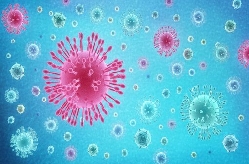 En période de co-circulation virale, le diagnostic étiologique des infections respiratoires hivernales repose sur la réalisation de tests pour identifier les virus en cause (illustration).