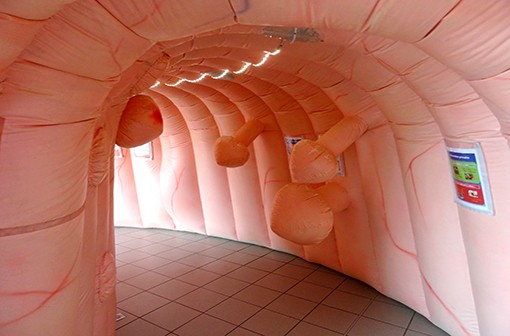 Intérieur d'un côlon géant gonflable utilisé pour sensibiliser les populations à la prévention et au dépistage du cancer colorectal (illustration). 