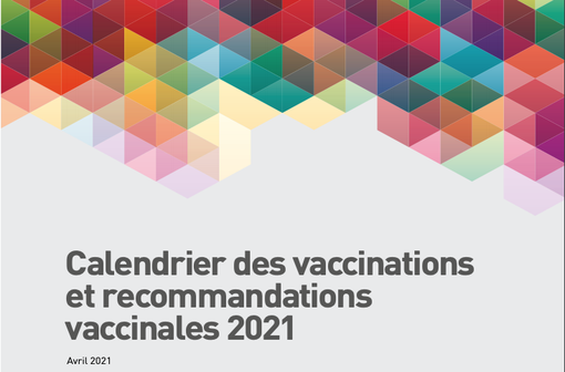 Le calendrier des vaccinations et recommandations vaccinales 2021 (illustration).