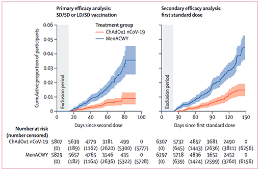 The Lancet publie une analyse intermédiaire des essais cliniques sur le vaccin Oxford-AstraZeneca contre la COVID-19 (en rouge, incidence cumulée des cas dans les groupes vaccinés ; en bleu, dans les groupes placebo - À gauche après 2 injections, à droite