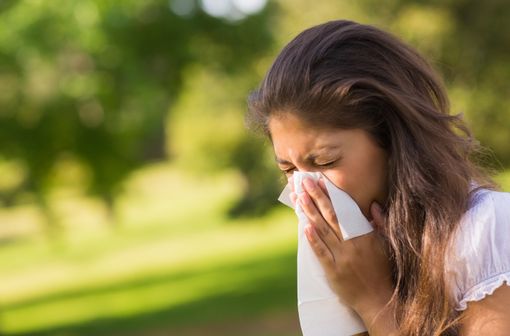 Les allergiques doivent se préparer à une période difficile, la nature se réveillant, les pollens aussi (illustration).