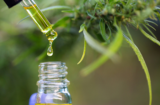 Le 7 octobre 2020, un décret a autorisé une expérimentation sur la mise à disposition de cannabis thérapeutique dans 5 indications.