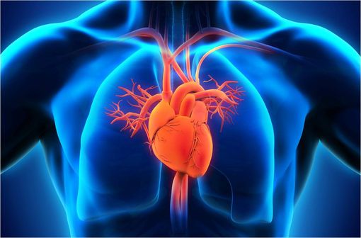 ENTRESTO est indiqué dans le traitement de l'insuffisance cardiaque chronique symptomatique à fraction d'éjection réduit (illustration).