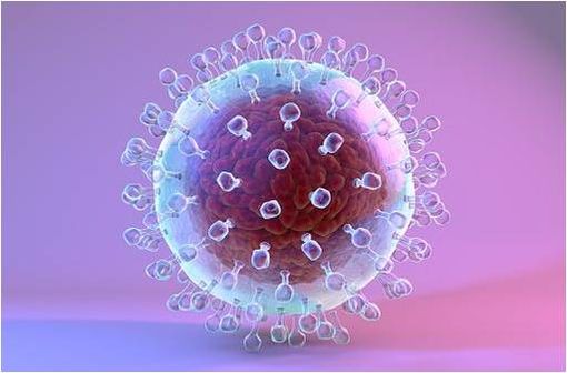 Représentation en 3D d'un virus de l'hépatite C (illustration).