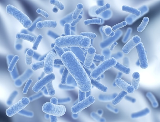 La plupart des infections urinaires sont liées à un type de microbe, Escherichia coli