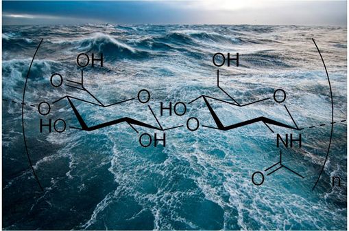 Les solutions IALUMAR  se composent d'eau de mer et de sel sodique d'acide hyaluronique.