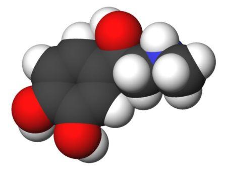 Structure moléculaire de l’adrénaline (© Sbrools, Wikimedia)