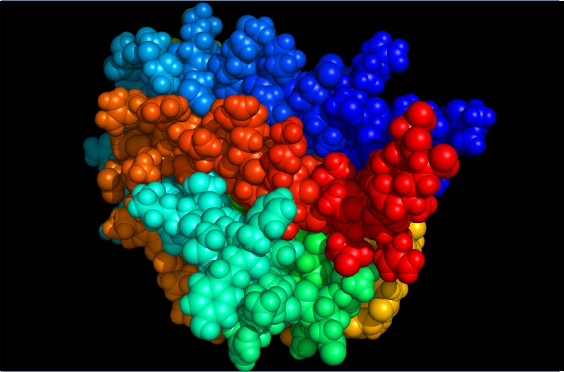 Représentation en 3D d'une molécule d'érythropoïétine (image @ Wikimedia).