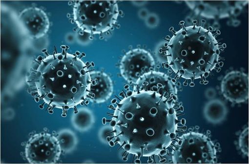 Virus influenzae de souche H1N1 (illustration).