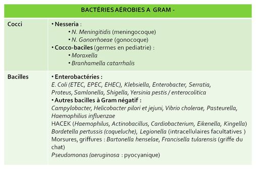 Bactéries aérobies à Gram - impliquées dans la plupart des maladies infectieuses bactériennes chez l'homme (tableau @ Wikimedia).