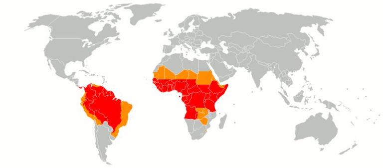 Carte des zones endémiques de la fièvre jaune (en rouge) et des pays à risque potentiel (en jaune) - (© Wikimédia).