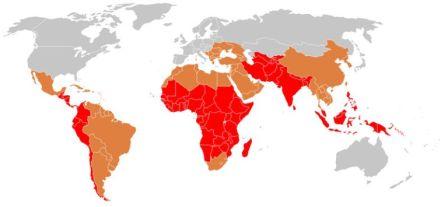Zones d'endémie de la fièvre typhoïde en 2000 (rouge : forte, marron : moyenne) (© CHU Rouen, Wikimedia).
