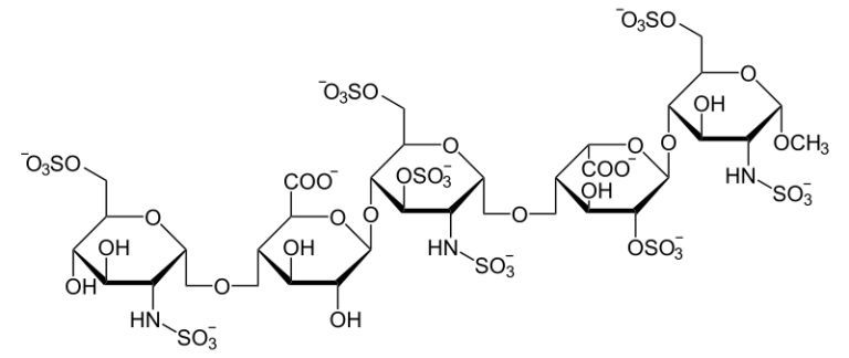 Le fondaparinux sodique est un antithrombotique, inhibiteur synthétique et sélectif du Facteur X activé (image : © Wikimedia)